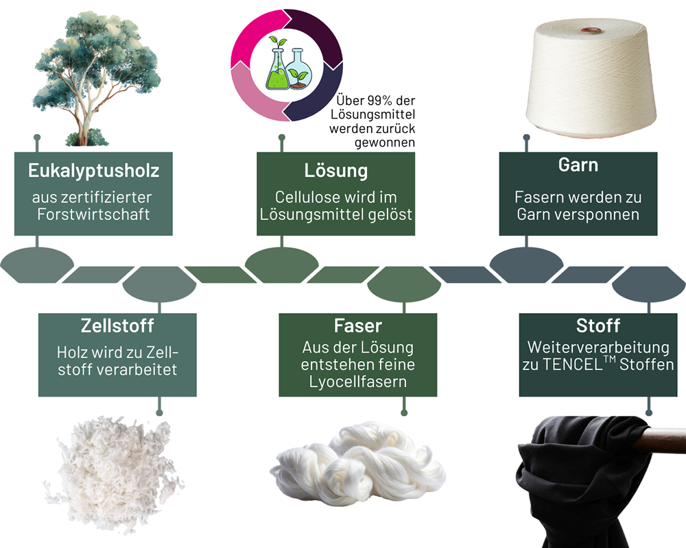 Infografik_ Prozessgrafik, Herstellung von TENCEL TM