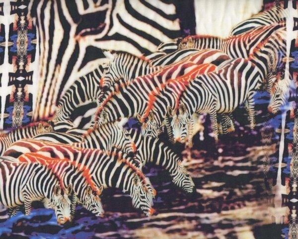 Fließender Viskosestoff mit Digitaldruck "Enzebro" mit Zebras am Fluss, anthrazit-blau-cremé
