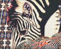 Fließender Viskosestoff mit Digitaldruck "Enzebro" mit Zebras am Fluss, anthrazit-blau-cremé