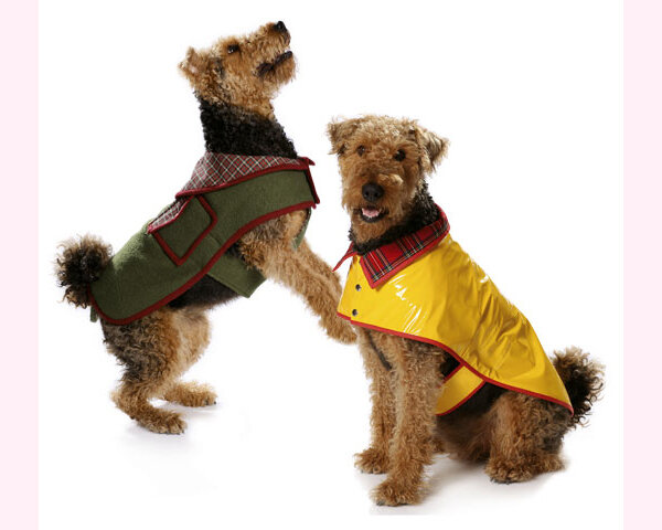 Creativ-Schnitt "Hundemantel" (7752), 16,90