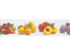 Taftband mit Digitaldruck FRUITS, Früchte, 25 mm