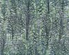Patchworkstoff WINTER STILLNESS, Wald, grasgrün