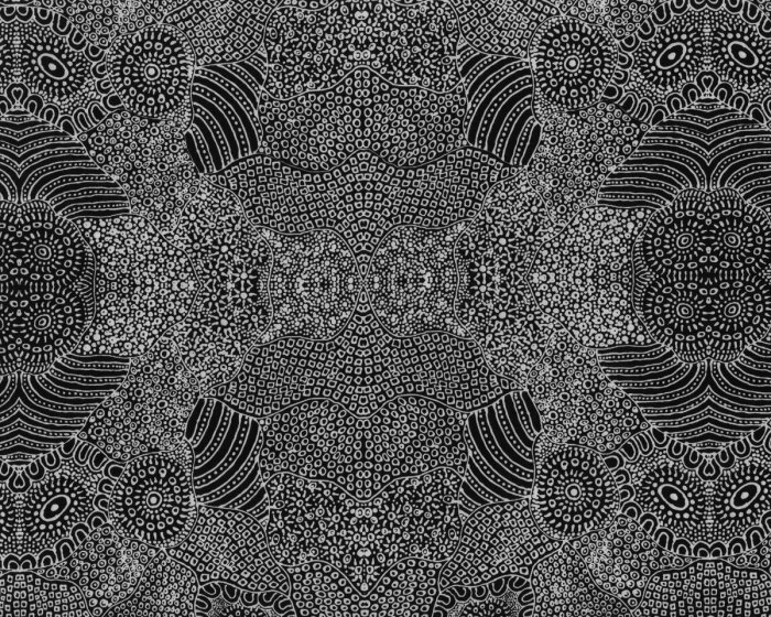 Australischer Patchworkstoff WATERHOLE, Ornament-Flächen, schwarz-weiß