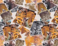 Baumwolljersey mit Elasthan ICE AGE, Fotos von Sid und...