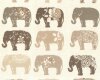 Englischer Dekostoff Clarke & Clarke ELEPHANTS, gemusterte Elefanten, natur-steingrau