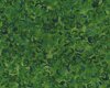 Patchworkstoff VINCENT VAN GOGH, Blick auf Auvers, Kringel-Vordergrund, grasgrün-moosgrün