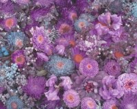 Feste bedruckte Baumwolle aus Italien Flowers mit bunter...