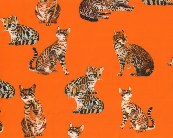 Exklusiver Baumwoll-Stretch-Satin aus Italien MIAGOLARE, Katzen, kräftiges orange