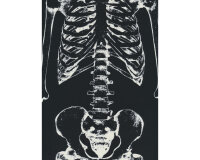 60-cm-Rapport Fluoreszierender Patchworkstoff MR. BONES, Skelett, Timeless Treasures