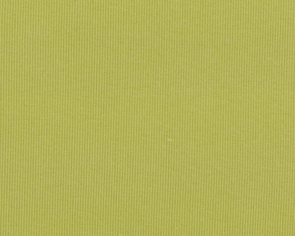 Feiner italienischer Rippen-Baumwoll-Jersey BRUGNOLI COSTINA, helles apfelgrün