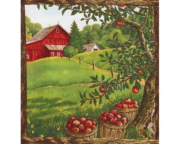 60-cm-Rapport Patchworkstoff Apple a Day mit Obstgärten im Rahmen, grün-rot-braun