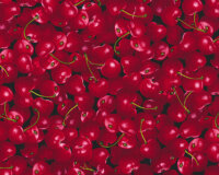 Patchworkstoff FRESH SQUEEZED, Kirschen, dunkelrot