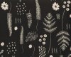Patchworkstoff BLACK & WHITE, Farne, schwarz, Cotton + Steel