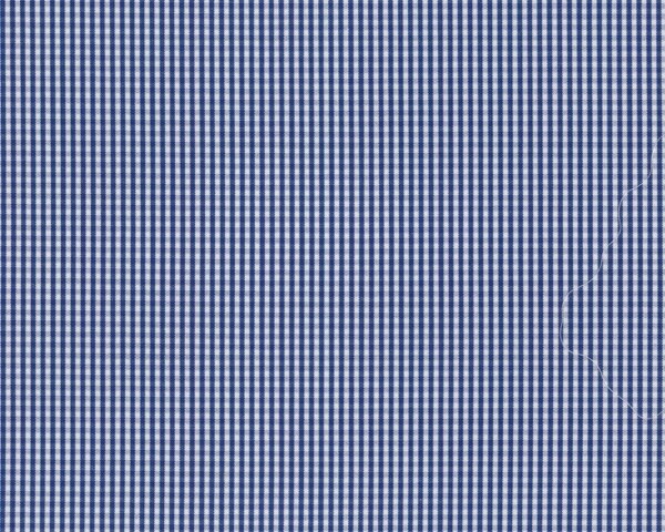 Feiner italienischer Baumwollstoff für Hemden und Blusen "Silvano", feines Vichykaro, blau
