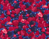 Patchworkstoff FRUIT BERRY, Beeren-Mix, rot-dunkles pflaume