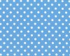 Baumwolle DOTTO, größere regelmäßige Punkte, hellblau