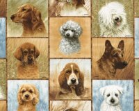 Patchworkstoff DOG DAYS mit Hunde-Porträts, braun-beige