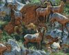 Patchworkstoff ROCKY GRANDEUR, Steinböcke im Gebirge, braun-blaugrau