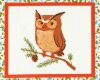 55-cm-Rapport Patchworkstoff FOREST FELLOWS, Bildfelder mit Waldtieren, dunkles orange-weiß