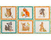 55-cm-Rapport Patchworkstoff FOREST FELLOWS, Bildfelder mit Waldtieren, dunkles orange-weiß