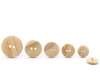 Klassischer Holzknopf WOOD, Union Knopf 20 mm