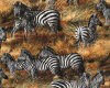 Patchworkstoff ANIMAL ADVENTURE, Zebras, hellbeige-schwarz