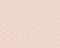 Organza Seidenstoff GEISHA, 59 Farben nude