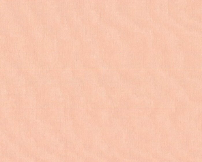 Organza Seidenstoff GEISHA, 59 Farben hautfarben