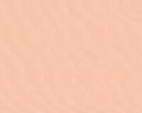 Organza Seidenstoff GEISHA, 59 Farben hautfarben