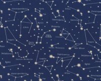 Baumwolljersey CASSIOPEE, Sternbilder