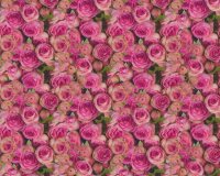 Deko-Baumwollstoff ROSEA, Rosen, pink