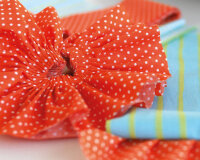 BERNINA Ruffler # 86 Typ D E F