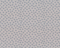 Baumwolljersey AVALANA PUNKT, Punkte-Rauten, hellgrau