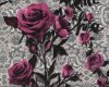 80 cm Reststück Designer-Baumwollsamt aus Italien MON CHER VELOUR, Rosen auf Spitze, fuchsialila-natur