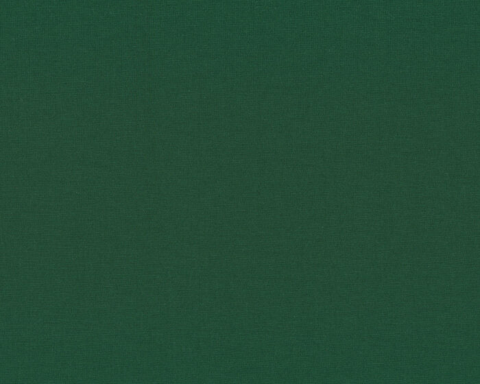 Italienischer Baumwolljersey BRUGNOLI SASSETTA, dunkelgrün