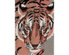 90-cm-Rapport Italienischer Baumwolljersey BIG TIGER