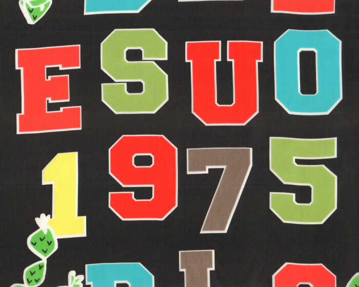 Designer Seidensatin SUO aus Italien, Kakteen, Buchstaben und Zahlen