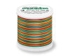 Maschinenstickgarn RAYON 40 MULTICOLOR, Madeira 2147