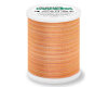 Quilt- und Stickgarn COTONA 30 MULTICOLOR, Madeira 512