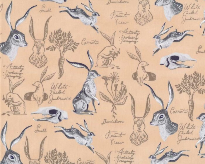 Patchworkstoff NATURAL HISTORY, Hasen, aprikot, Dear Stella