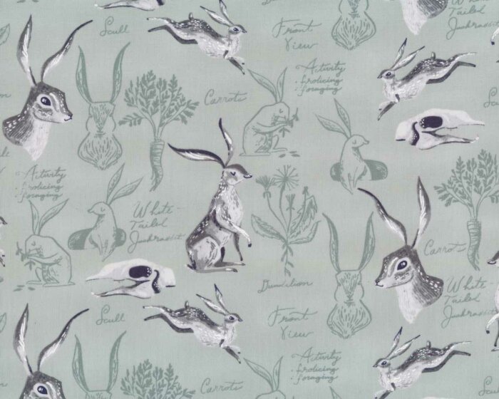 Patchworkstoff NATURAL HISTORY, Hasen, mint, Dear Stella