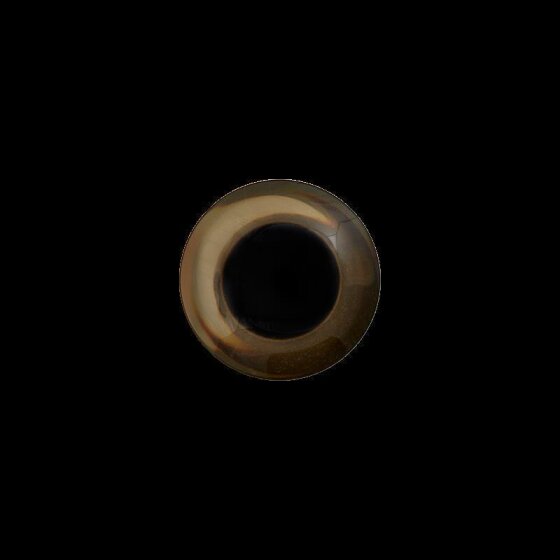 Knopfaugen TEDDY für Tiere und Puppen, Union Knopf 12 mm graugrün