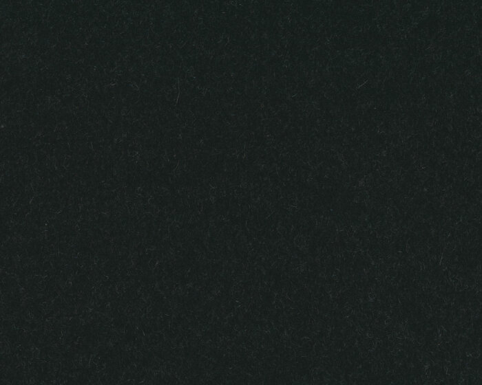 Italienischer Walkstoff aus Schurwolle mit Kaschmir INVERNO, schwarz