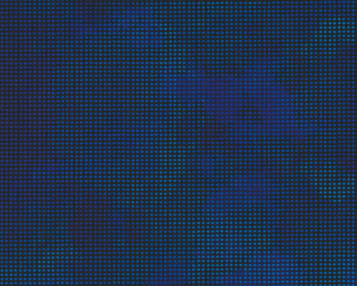 Patchworkstoff DIT DOT EVOLUTION, Raster, dunkelblau, In The Beginning