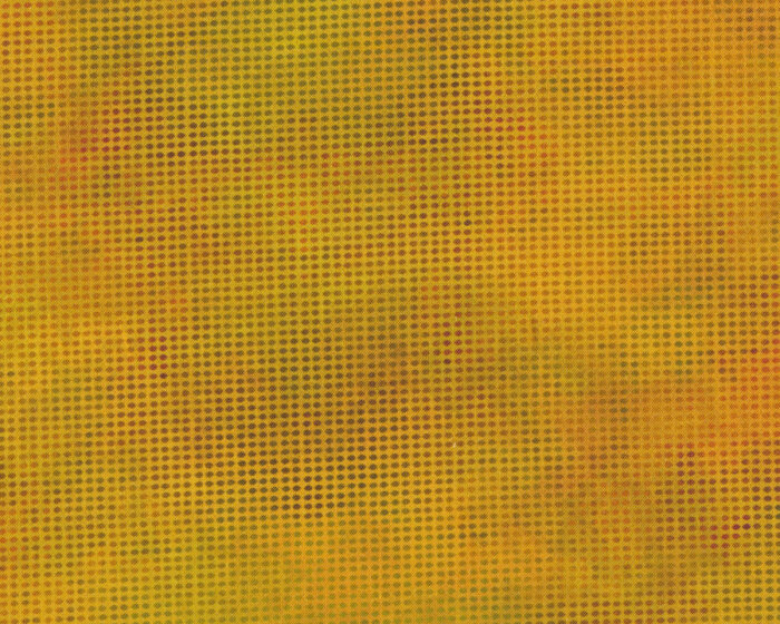 Patchworkstoff DIT DOT EVOLUTION, Raster, goldbraun, In The Beginning