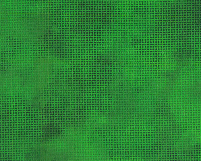 Patchworkstoff DIT DOT EVOLUTION, Raster, grasgrün, In The Beginning