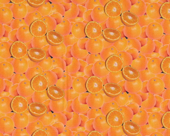 Baumwollstoff YUMMY FOOD, Orangen, orange