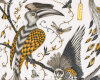 Baumwollsatin AUDUBON, Exotische Vögel, wollweiß, Emma Shipley
