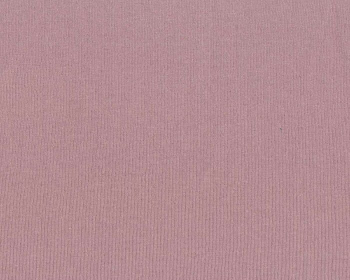 Kuschel-Sweat EICHHORN, helles altrosa, Swafing