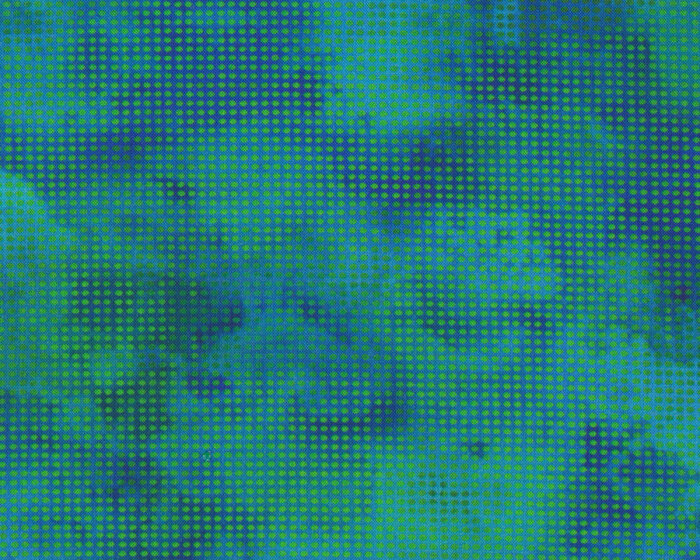 Patchworkstoff DIT DOT EVOLUTION, Raster, türkisgrün, In The Beginning